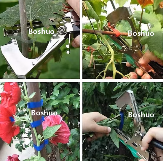 Cina Strumento per nastro da giardino impermeabile resistente in plastica PVC PE per orticoltura per piante 4 6 8 Nastro verde da 12 mm per uva Pomodori Peperoni Cetrioli Fagioli Fissaggio